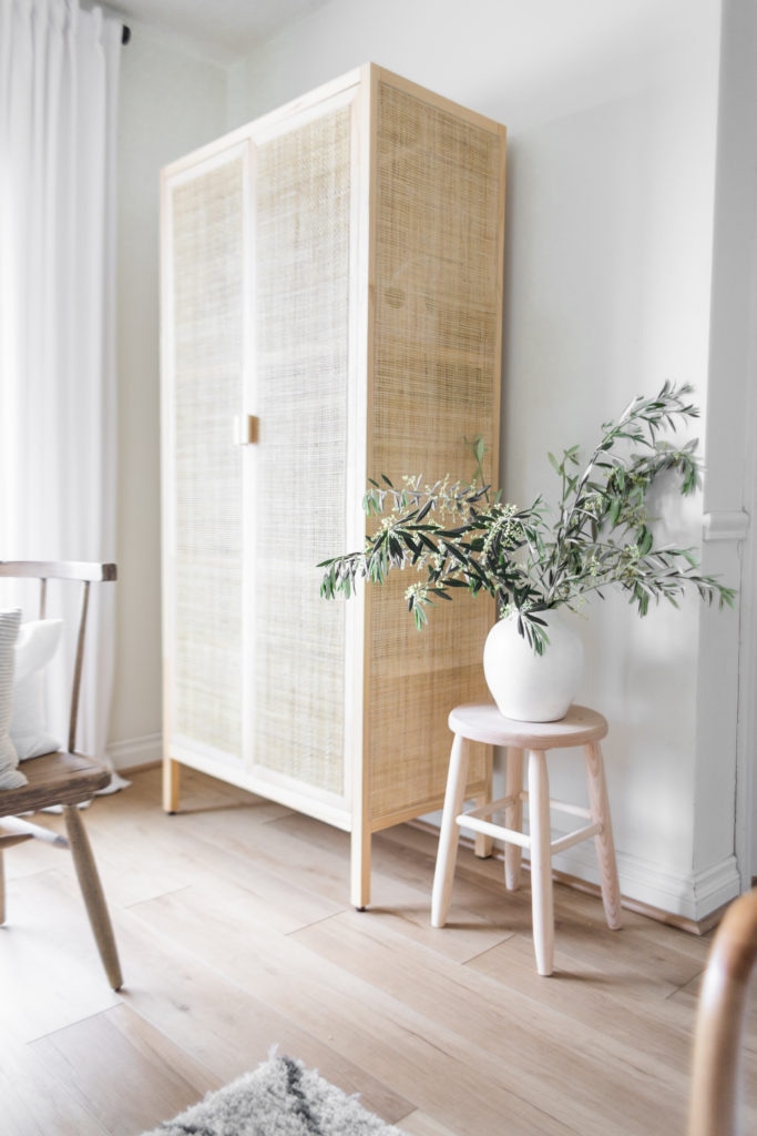 Combining Storage and Style: Our New Cane Cabinet + A Cabinet Roundup ...
