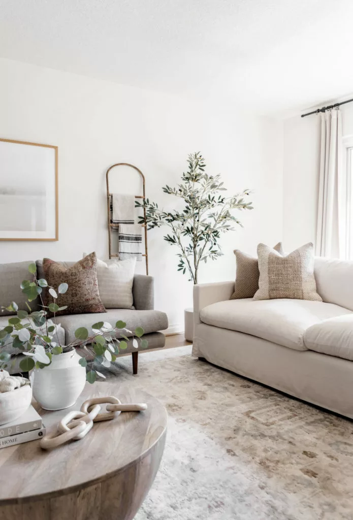 Living Room Update + New Rug Reveal – Halfway Wholeistic