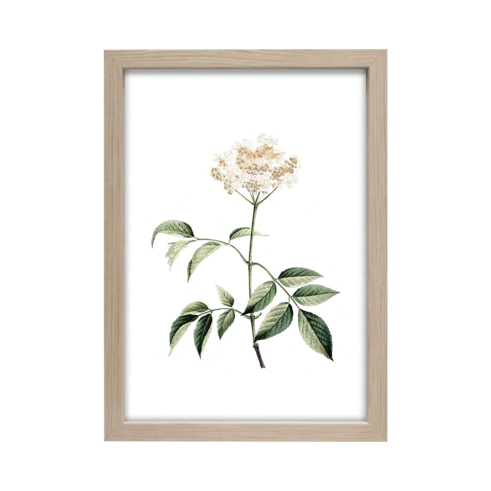 Spring Art Collection and Sale Details