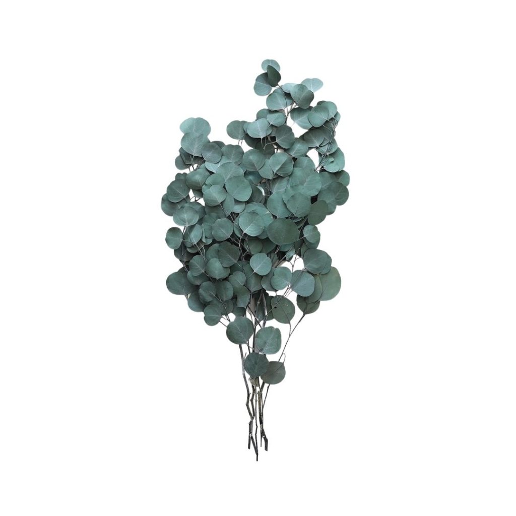 Fall Florals + A Discount Code!