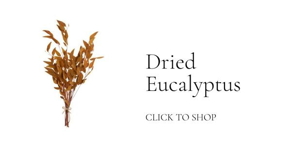 The Fall Shop is Here