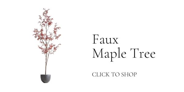 The Fall Shop is Here