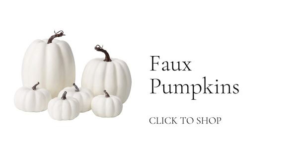 My Plant Hack You Need to Know for Fall!