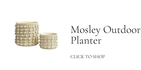 Spring Preview and a Big President's Day Sale